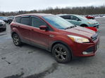 Ford Escape 2015