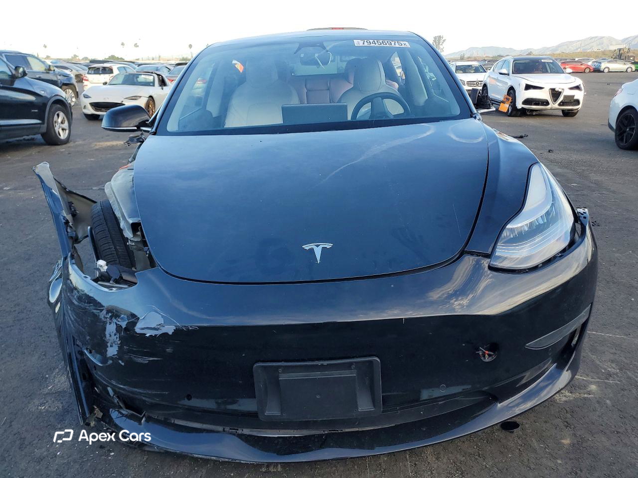 Tesla Model 3 2020
