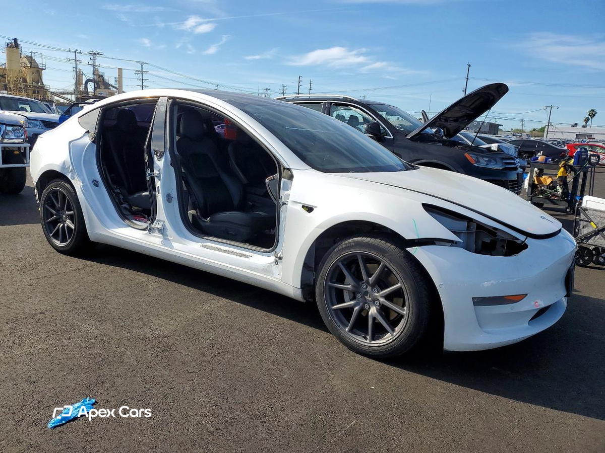 Tesla Model 3 2019