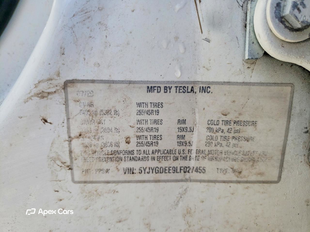 Tesla Model Y 2020