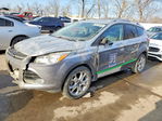 Ford Escape 2016