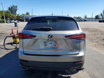 Lexus NX 2021