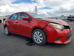Toyota Corolla 2014