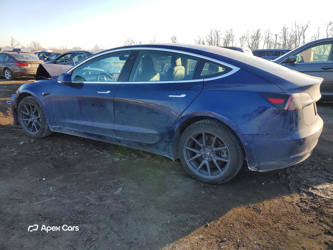 Tesla Model 3 2019