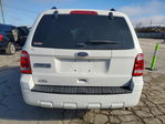 Ford Escape 2012