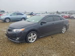Toyota Camry 2013