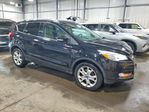 Ford Escape 2016