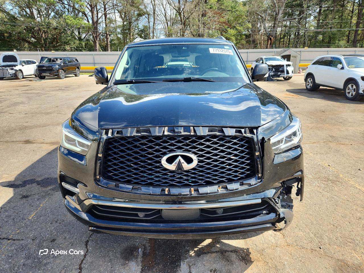 Infiniti QX80 2021