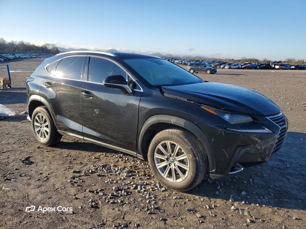 Lexus NX 2021