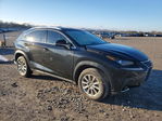 Lexus NX 2021