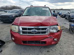 Ford Escape 2008