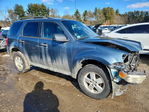 Ford Escape 2011