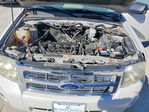 Ford Escape 2011