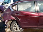 Honda Accord 2010