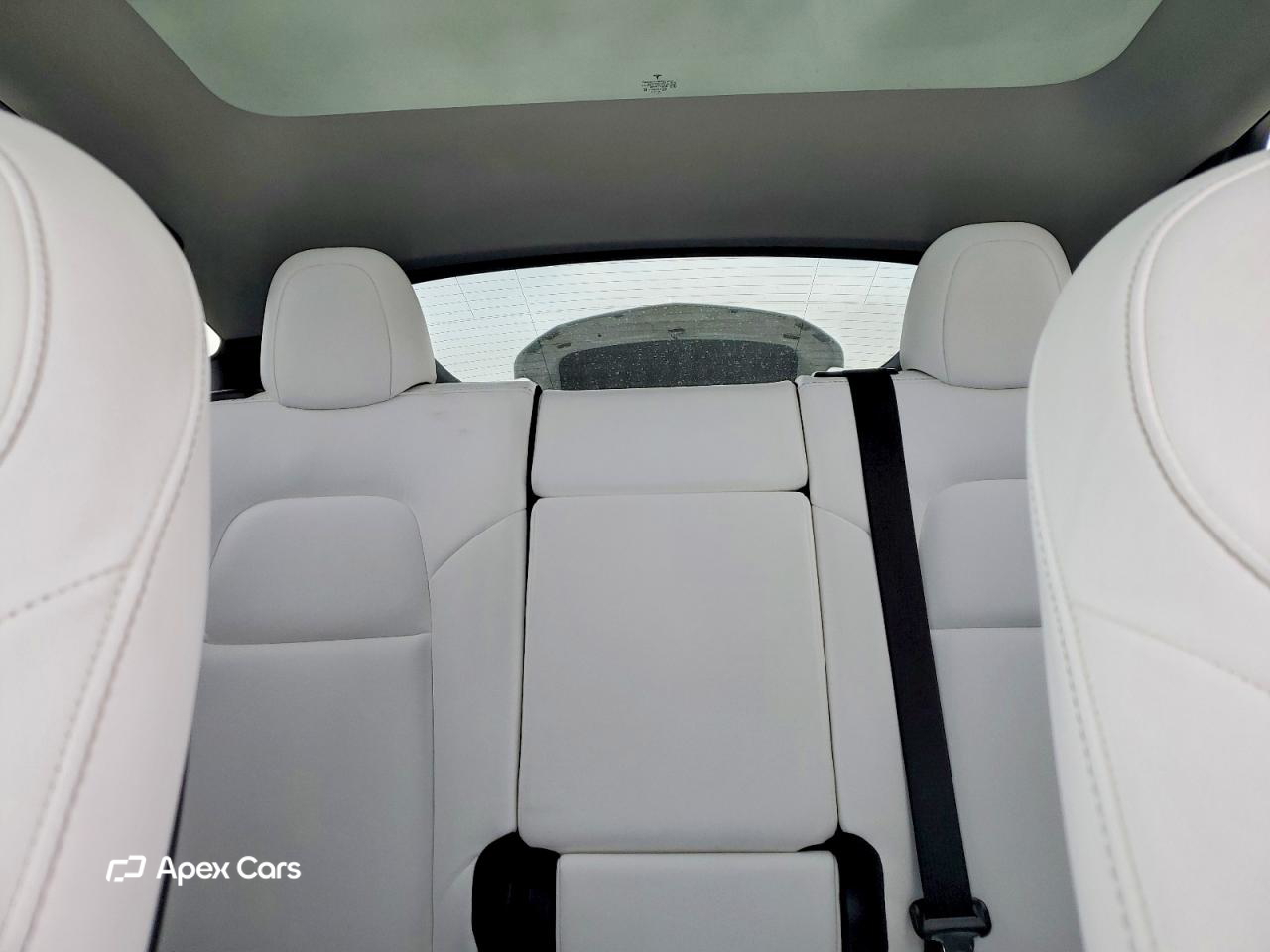 Tesla Model Y 2020