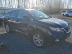 Lexus RX 2010