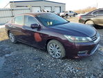 Honda Accord 2013