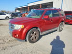Ford Escape 2012