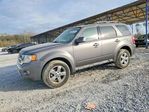 Ford Escape 2011