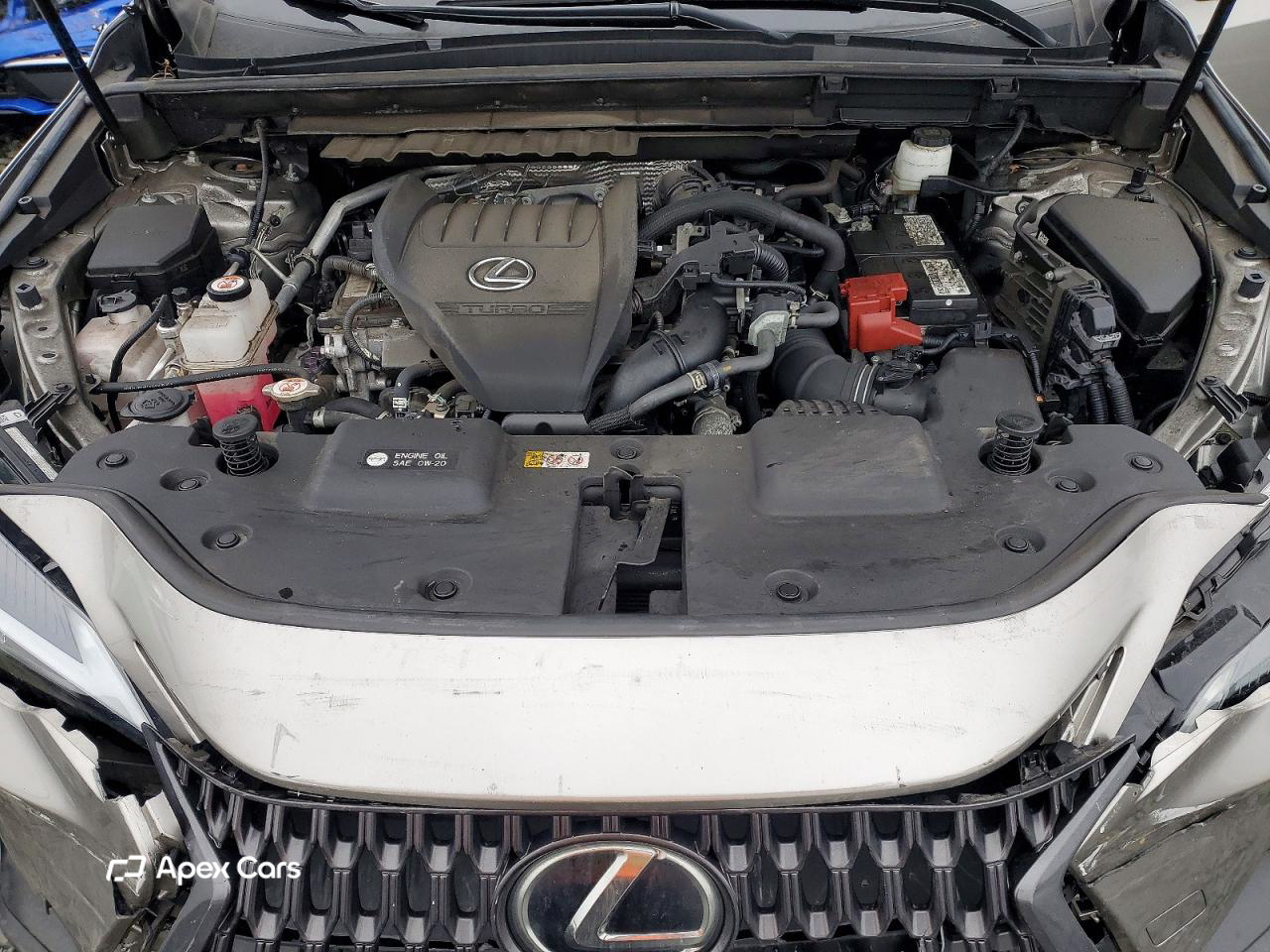 Lexus NX 2022