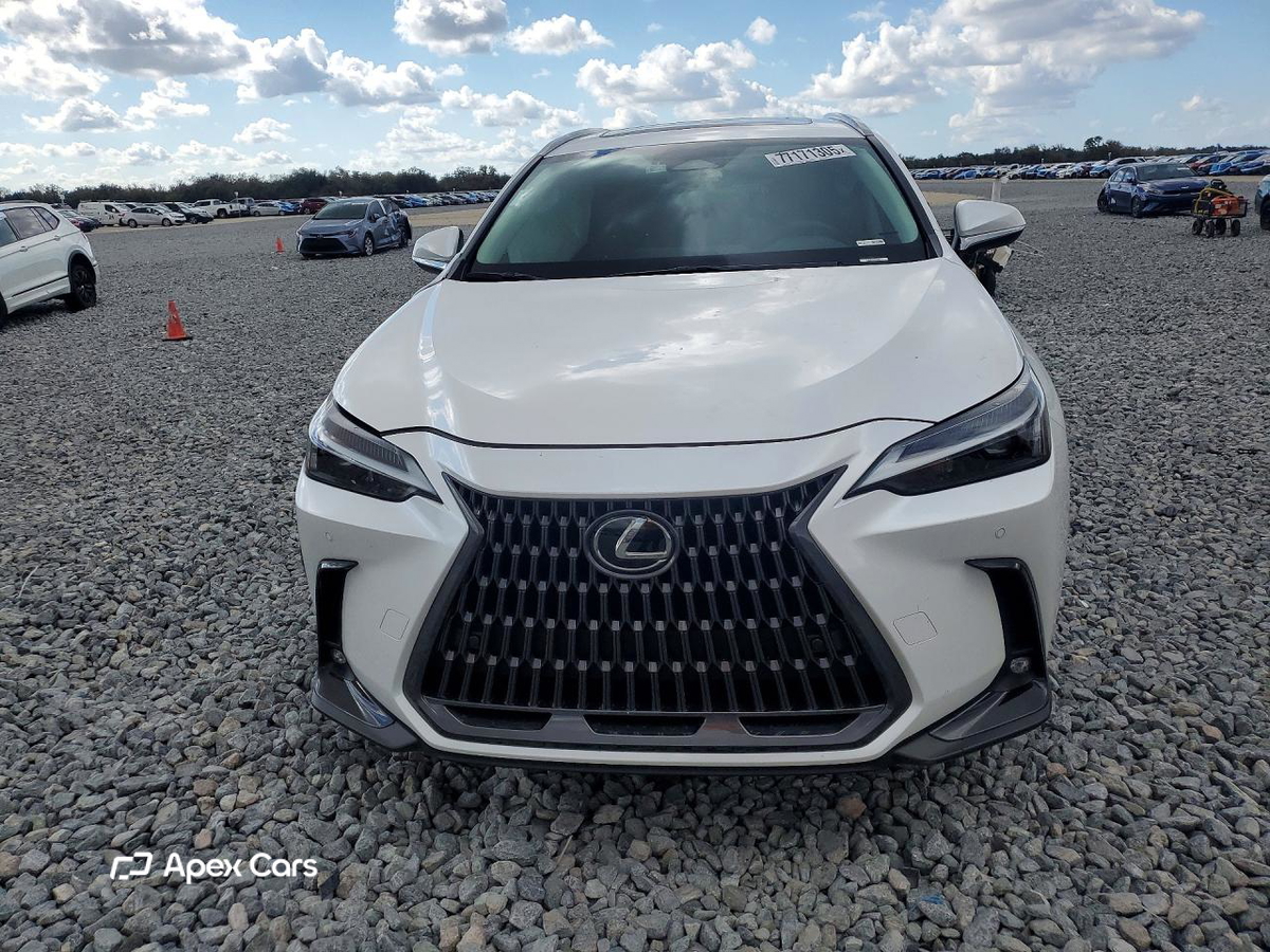 Lexus NX 2024