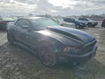 Ford Mustang 2013