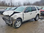 Ford Escape 2011