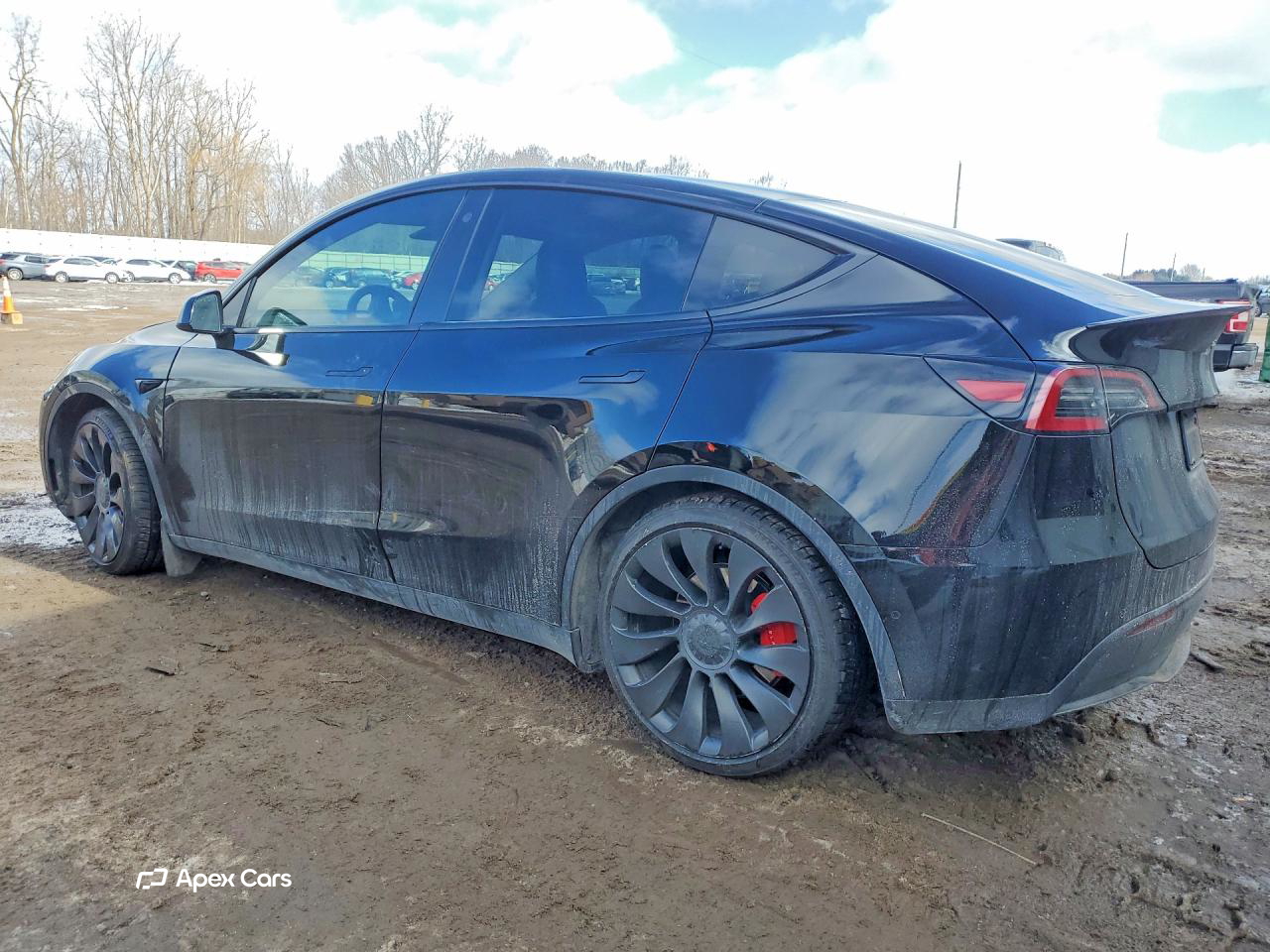 Tesla Model Y 2021