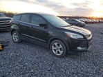 Ford Escape 2015