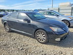 Lexus ES 2012