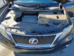 Lexus RX 2010