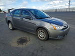 Ford Focus 2010