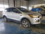 Ford Escape 2013