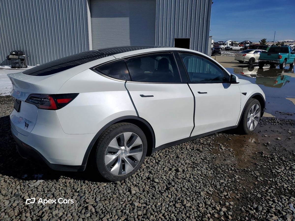 Tesla Model Y 2020