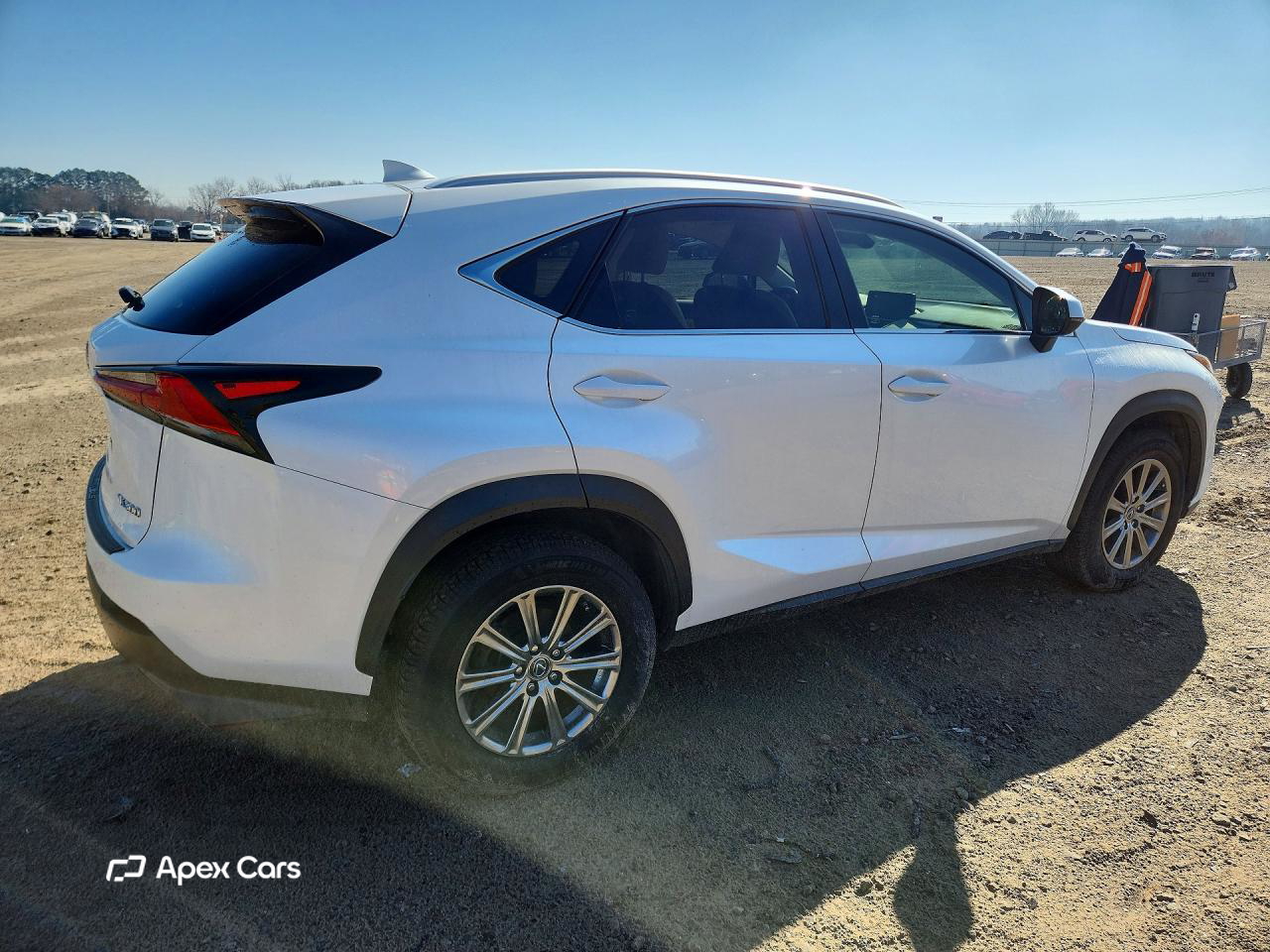 Lexus NX 2019