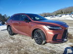 Lexus RX 2025
