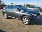 Lexus RX 2010