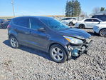 Ford Escape 2015