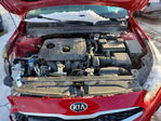 Kia Forte 2021