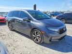 Honda Odyssey 2024
