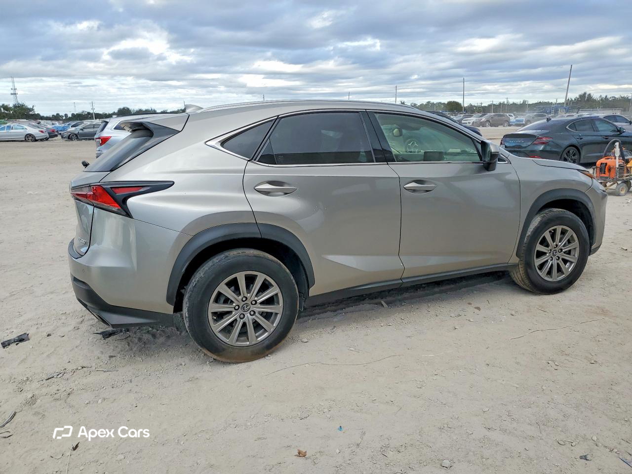 Lexus NX 2020