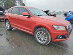 Audi Q5 2014