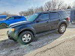 Ford Escape 2011