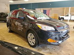 Ford Escape 2014
