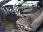 Ford Mustang 2014