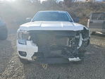 Ford Ranger 2024