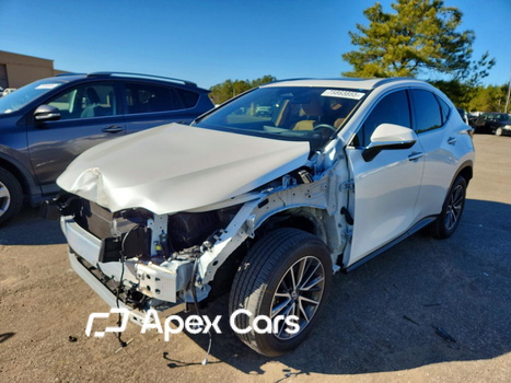 Lexus NX 2025 - Image 1 of 12