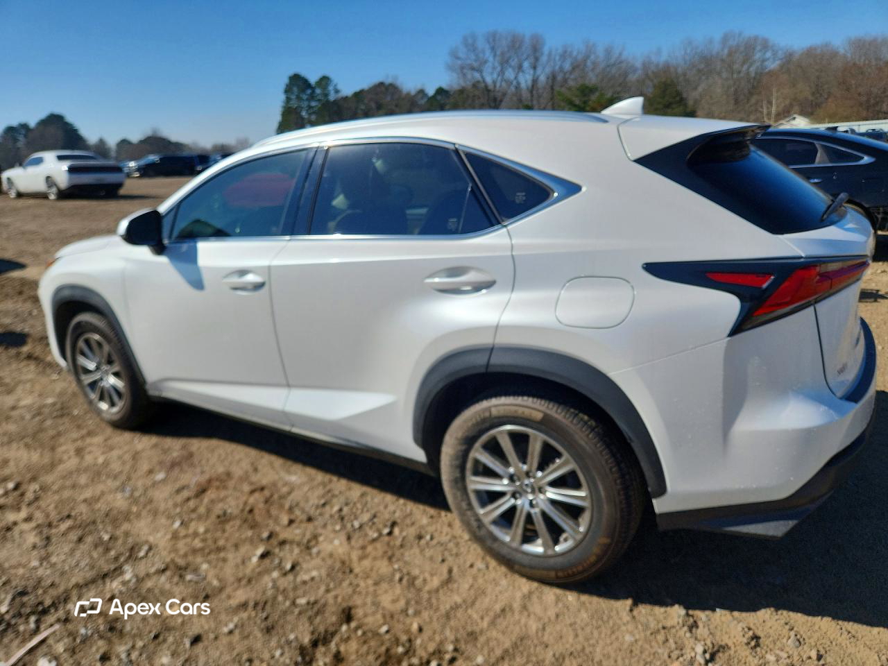Lexus NX 2019