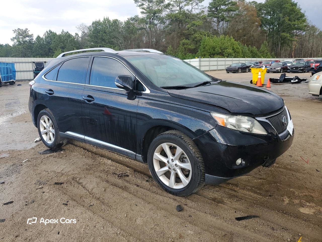 Lexus RX 2010