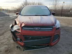 Ford Escape 2015